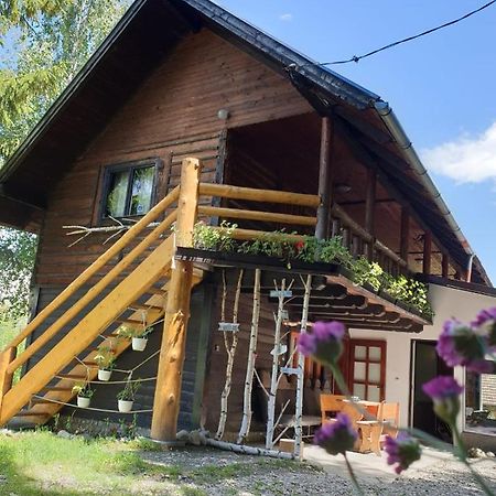 Pensiunea Padina Bran  Exterior photo