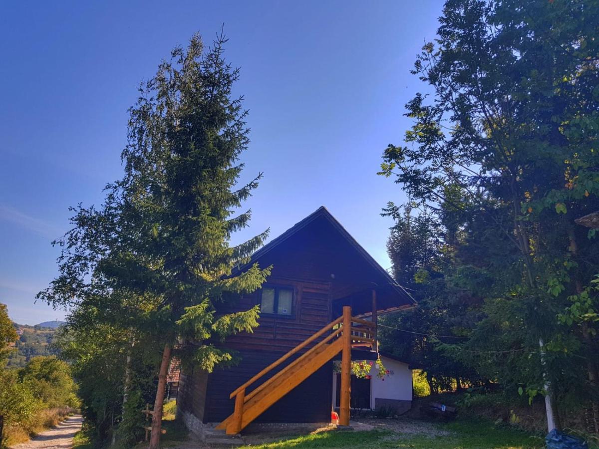 Pensiunea Padina Bran  Exterior photo
