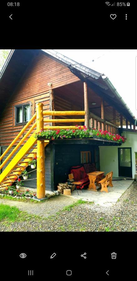 Pensiunea Padina Bran  Exterior photo