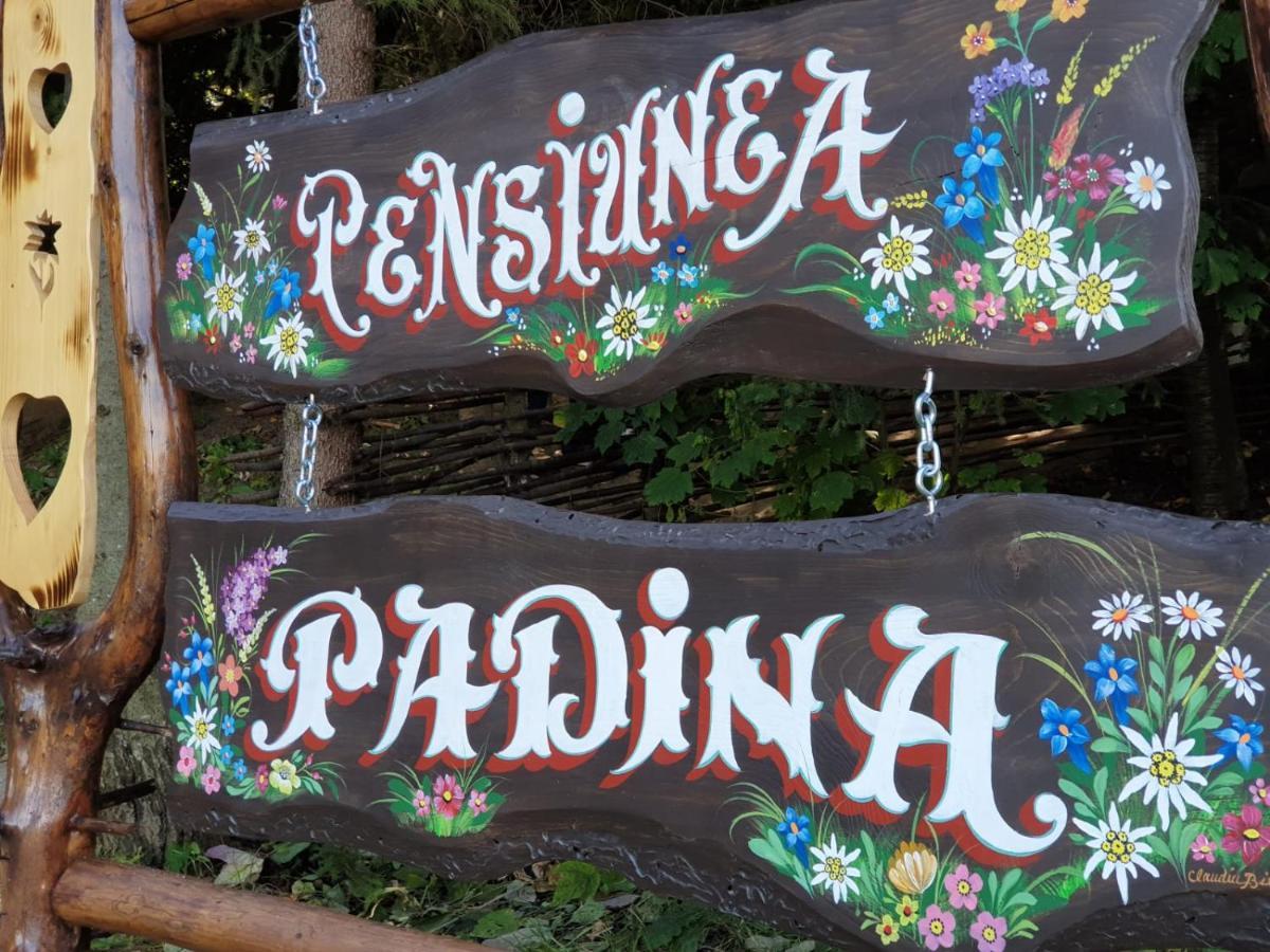 Pensiunea Padina Bran  Exterior photo