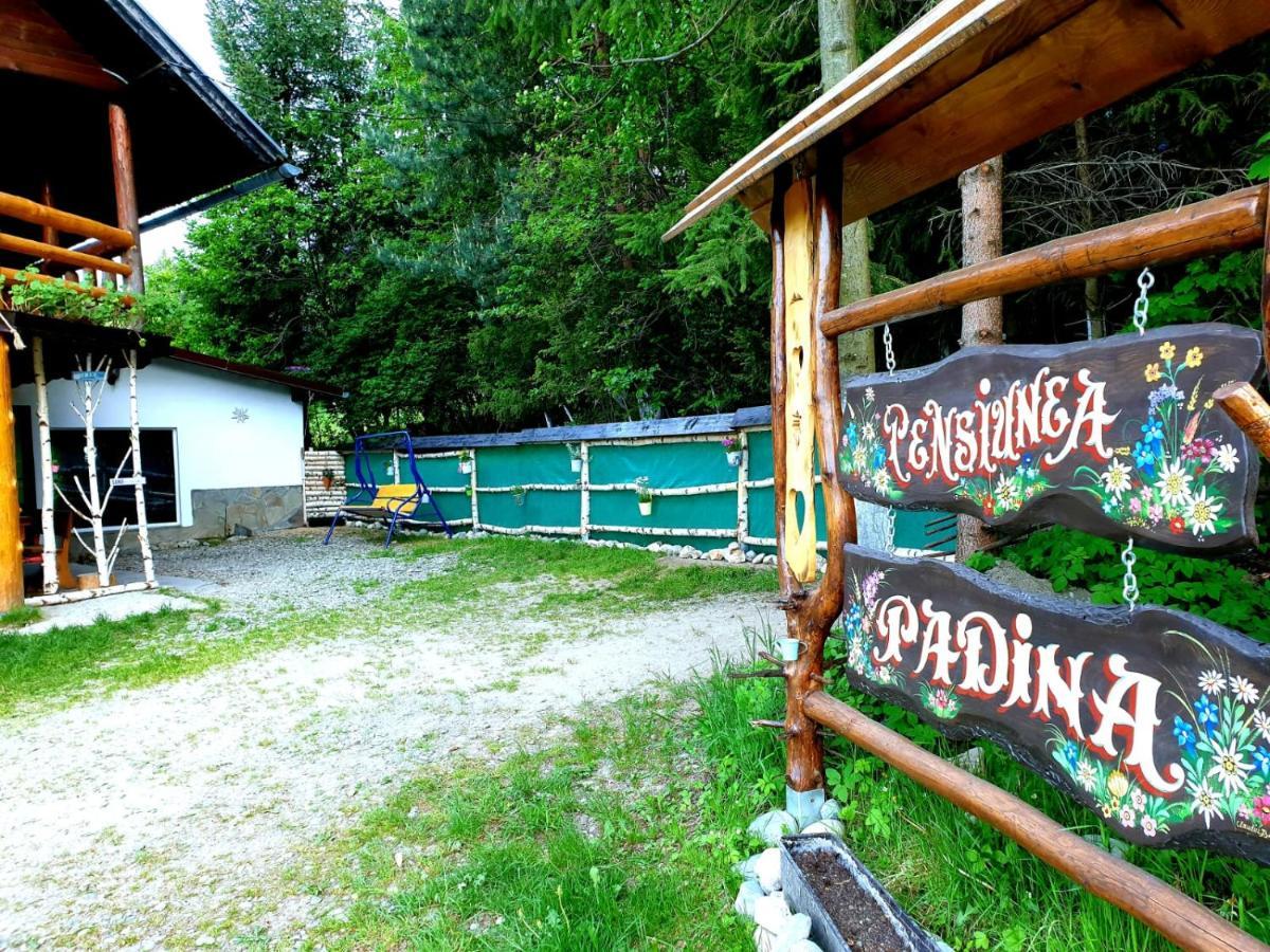 Pensiunea Padina Bran  Exterior photo