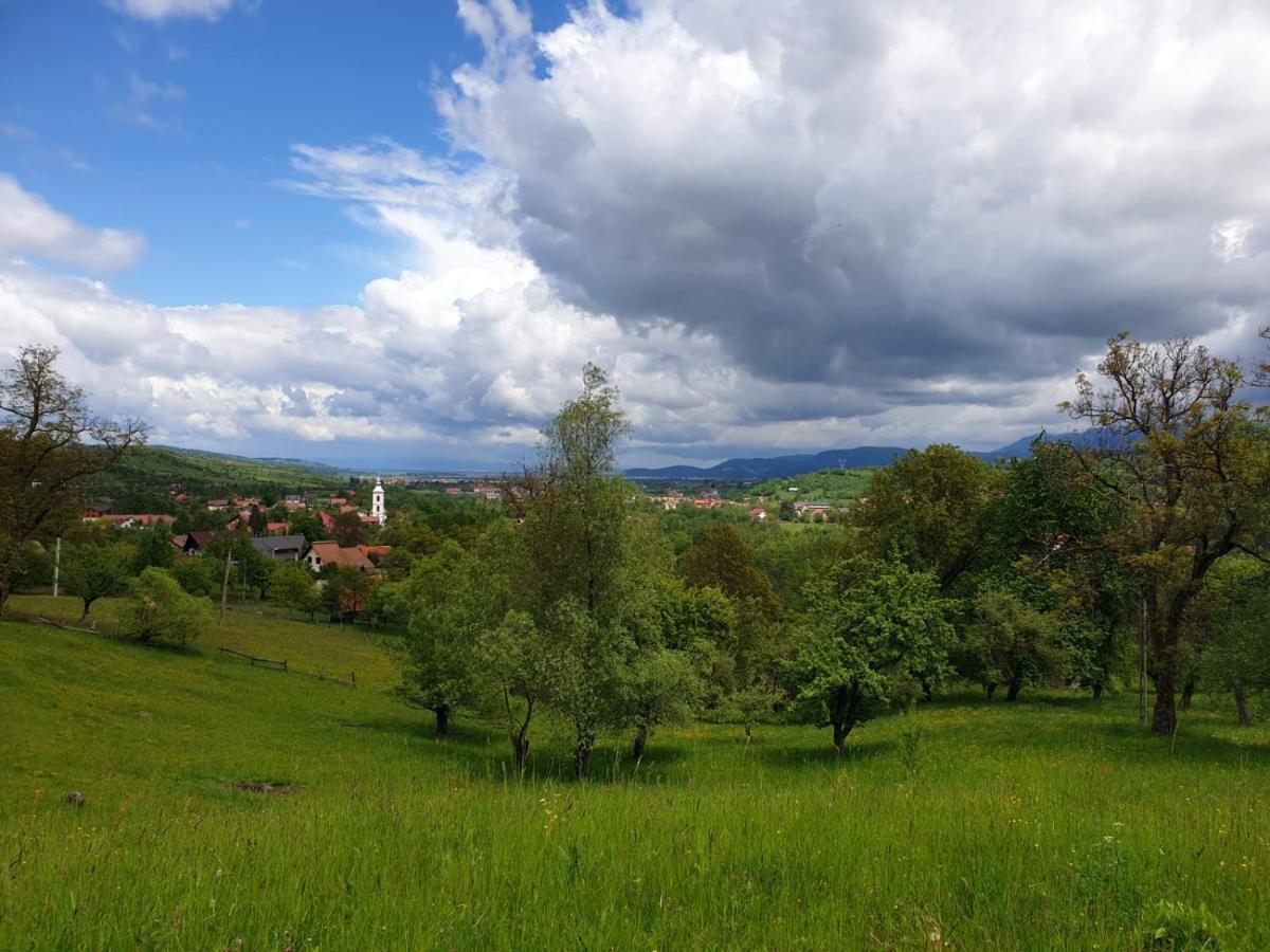 Pensiunea Padina Bran  Exterior photo