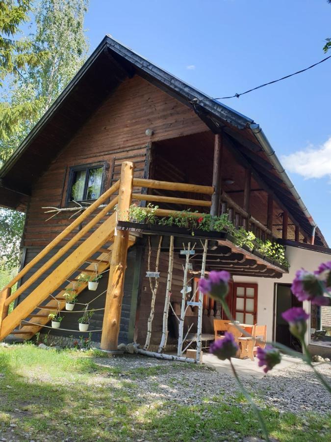 Pensiunea Padina Bran  Exterior photo
